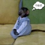 [드루와] 너네는 옷이나 화장품 어케삼?