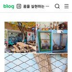 <b>시흥</b>에 있는 고00  짬뽕집 고양이 학대