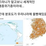 [드루와] <b>아</b> 고라니 진짜 <b>뭐</b>임??