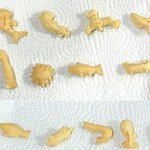 심심해서 고래밥 <b>채색</b>해봄