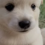 [NCT칠프] 이거 문태일