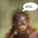 다들 잘자~난 <b>자러</b>갈게