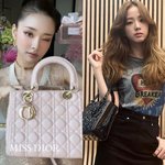 프리지아 블랙핑크 지수