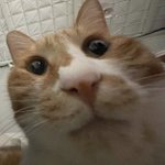 나 아직도 철 안든 듯…