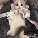[드루와] 나중에 <b>니</b>네 <b>자식</b> 낳을거임?
