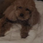 [군대] <b>민</b>홀맄ㅋㅋㅋㅋㅋ