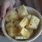 이사람 브이로그 개웃김