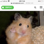 [19] 모르는 사람한테 <b>향수</b> 물어봐도 될려나,,?