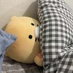 [드루와] <b>조던</b>하이 착화감 개쓰레기네..