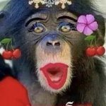 마마무 뭐야⁉️