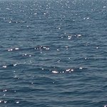 물화생1 골랐던 고3 <b>선배림</b>있나요