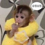 [NCT칠프] <b>불닭</b>먹어야겠숭