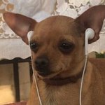 엔하이픈 <b>폴라럽</b> 최근들은 노래 중에 제일 좋음