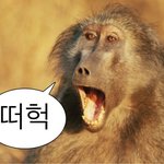 [댓글부탁해] 아니 이노래 아는사람 제발