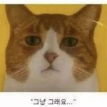 [댓글부탁해] 1학년 내신 4<b>점초</b>여도 인서울 할 수 있음??