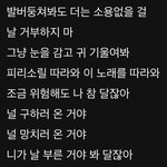 방탄 파이드 <b>파이퍼</b> 집착광공 재질 미쳤음