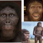 [댓글부탁해] 오스트랄로 피테쿠스 처럼 이마 좁은것 보다 넓은게...