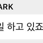 [NCT드림] 우리 대장 <b>일</b>하신다~ <b>컴백</b> 가자~~