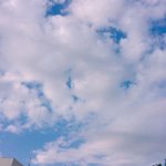 [드루와] 너넨 부산살고싶냐 서울살고싶냐