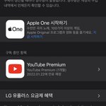 유튜브 프리미엄 <b>해제</b> 된 거 맞아?ㅠ
