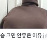 가슴크면 안좋은이유;