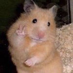 다음<b>주</b> 월부터 편점 <b>첫</b> 알바 ㅎ.ㅎ