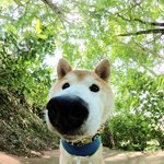 [댓글부탁해] 인스타 이상한<b>필터</b>알려주라제발뽀뽀줄게