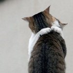 예전에  <b>밤일</b>은  쪼끔 잘했음