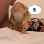 [댓글부탁해] 인소 럽<b>실소</b> 추천해줘