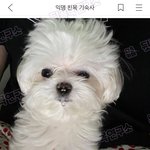 [드루와] <b>남자</b>가 왜 못생긴<b>지</b> 알거같음