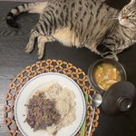 일상 음식