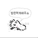 [댓글부탁해] 나 전문대 간호 가는데