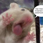 <b>서가</b>대 ㄴㄱㄴㄱ 나와?
