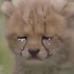 [NCT칠프] <b>청소기</b>돌리고 설거지나 하고 올게
