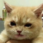 [TXT] 투바투 <b>컴백</b>해.