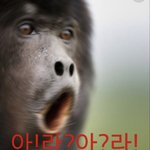<b>서가</b>대 대상 뭐냐⁉️