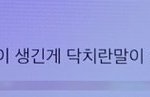 [진격의거인] ㅅㅍ) 정말…