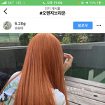 추반 해주면 반배정 헷<b>꿀꿀</b>