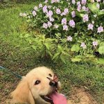 [댓글부탁해] 나 쌍수 언제할까...<b>개진</b>지해