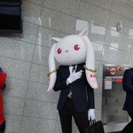 [댓글부탁해] <b>배송</b> 6일째 처 안오는데