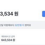[댓글부탁해] 한달 <b>지출</b> 이정도면 많은거야..?