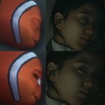 지수와 <b>니모</b>