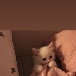 [댓글부탁해] 남친이랑 사귄지 2년 가까이되는데