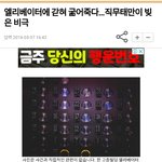 엘리베이터에서 죽은 여자이야기 (공포)