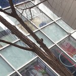 [NCT드림] 오늘도 봤다 드림