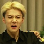 [댓글부탁해] 원피스에 겉옷 코트vs퍼<b>자켓</b> 추반좀