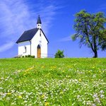 [댓글부탁해] <b>난시</b>렌즈 맞출때 얼마나듬?