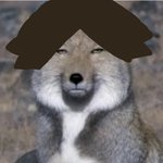 [하이큐] 김<b>스나</b>〰️〰️〰️<b>스나</b>린타로〰️〰️생축〰️〰️︎︎