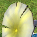 [<b>레이</b>] 사담)a lotus leaf umbrella