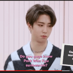 [스키즈] 이리노